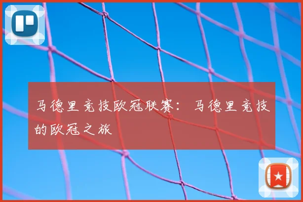 马德里竞技欧冠联赛：马德里竞技的欧冠之旅